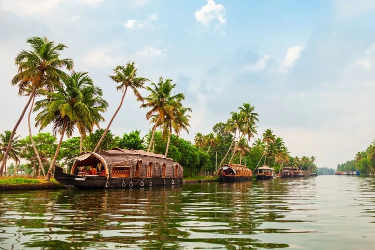 Best Things to do in Kerala for an Unforgettable Trip